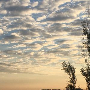 Meet your Posher, Sheila